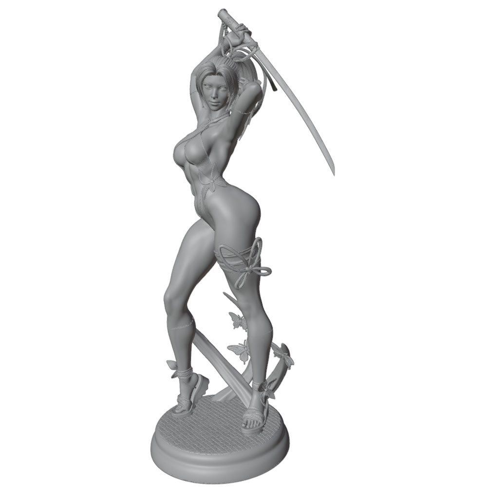 1/24 Weiblich 	 Warrior Resin  – 3D Printing App Bewertung und Preis